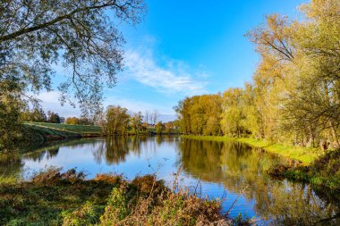 Arka planda mavi gökyüzüne bakan ağaçlarla çevrili sonbahar manzarası, su yüzeyindeki ayna yansıması, Belçika doğa rezervi De Wissen Maasvallei, Dilsen-Stokkem, Belçika 'da güneşli bir gün.