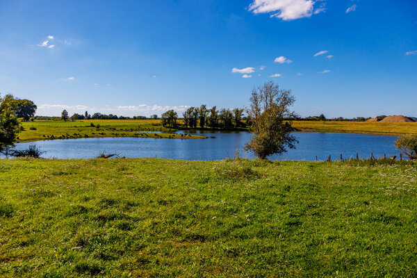 Nature reserve with fishing pond surrounded by green grass, Dutch field, trees and horizon in background against blue sky, migratory paradise for birds, sunny summer day in Meers, Elsloo, Netherlands