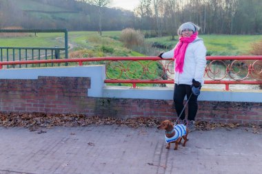 Hollanda 'nın güneyindeki Schinnen, Güney Limburg' da soğuk bir sonbahar gününde köpeğiyle köprünün üzerinde duran yetişkin bir kadın, çıplak ağaçlar ve etrafı sisli bir geçmişle kaplı bir nehir.