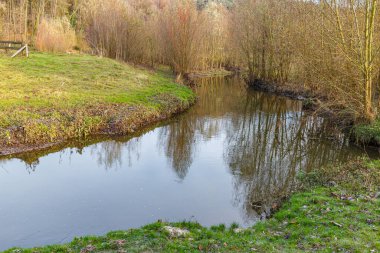 Sonbaharda çıplak ağaçlar ve çimenler arasında nehir sisli arka planda, su yüzeyindeki yansıma, Hollanda doğa rezervi Geleenbeekdal, Schinnen, Güney Limburg, Hollanda 'da soğuk bir gün