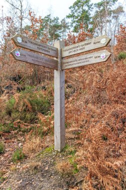 Doğa rezervlerine giden yol üzerindeki tahta rehber direği: Pietersheim, De Mechelse Herder, La Butte Aux Bois, arka planda kuru eğreltiotları olan tepe, Lieteberg ulusal parkı, Zutendaal Limburg, Belçika
