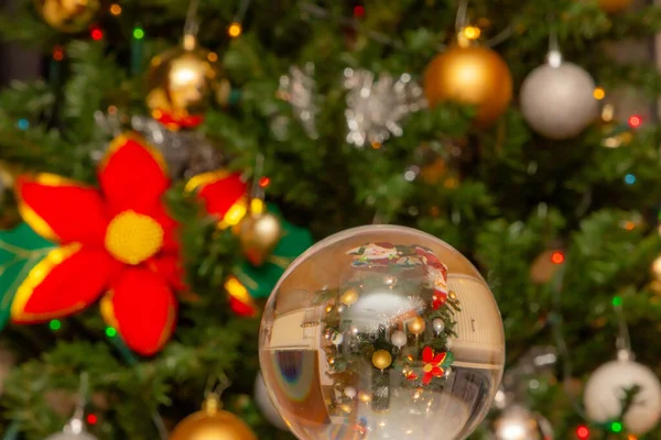 Close-up of reflection of Christmas decoration in silver sphere with green foliage of the tree, poinsettia and golden and silver balls in blurred background, Christmas concept at home