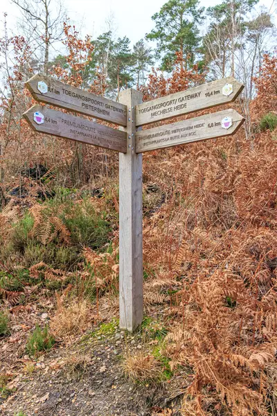 Puesto Guía Madera Encrucijada Que Conduce Las Reservas Naturales Pietersheim — Foto de Stock