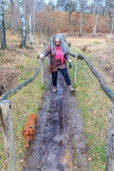 Mujer Mayor Con Perro Tratando Caminar Tierra Fangosa Sendero Con — Foto de Stock