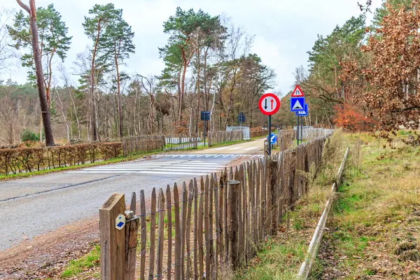 Rural road with wooden fences between forest area of Hoge Kempen National Park, different signs: speed bumps, narrow path, directional and preferential arrow, Lieteberg Zutendaal Limburg, Belgium