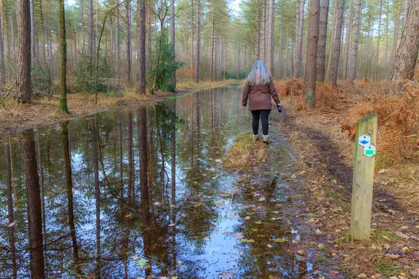 Poste Con Rutas Senderismo Camino Inundado Agua Lluvia Estancada Mujer — Foto de Stock