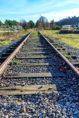 Arka planda ağaçlar, mavi gökyüzüne karşı orman manzarası Hoge Kempen Ulusal Parkı 'nda güneşli bir gün, Limburg, Belçika