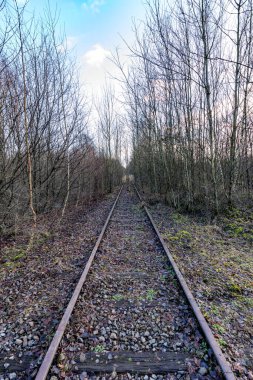 Thor Parkı - Hoge Kempen Ulusal Parkı - Cenk, Belçika 'da bulutlu bir sonbahar günü