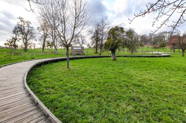 Alden Biesen Şatosu 'ndaki Flanders organik bahçesinde yeşil çimenler üzerinde eğri ahşap köprü arka planda bulutlu gökyüzüne karşı çıplak meyve ağaçları Bilzen, Limburg, Belçika' da bulutlu bir kış günü