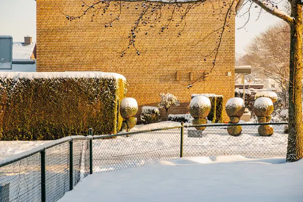 Pedestrian sidewalk covered with large layer of snow after heavy snowfall, metal fence, bushes, small round shaped trees, brick walls in background, sunny winter day in the Netherlands