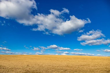 Hasattan sonra tarlaların manzarası, beyaz bulutlu Hollanda tarım arazisi, arka planda ufuk, Catsop 'ta güneşli bir gün, Hollanda' nın güneyinde Stein, Hollanda