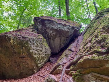 Kayalık bir tepede yosunlu dev kayalar, arka planda yeşil yapraklı ağaçlar, Teufelsschlucht doğa rezervi, Irrel, Almanya 'da güneşli bir yaz günü