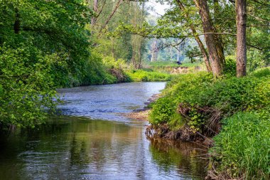 Nehir manzarası yeşil yapraklı ağaçlar ve Geul Nehri 'ni çevreleyen vahşi bitki örtüsü, Hollanda doğa parkı Ingendael, sakin bir şekilde akan su deresi, Hollanda' nın Güney Limburg şehrinde güneşli bir bahar günü