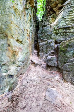 Arka planda yeşil yapraklı iki kaya oluşumu arasındaki dar oyuk, zamanın geçişi sonucu oluşan aşınmalar, yeşilimsi noktalar, Teufelsschlucht Doğa Koruma Alanı 'nda güneşli bir yaz günü, Irrel, Almanya