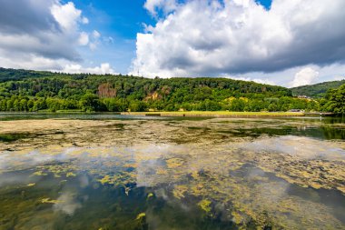 Echternach Gölü 'nün panoramik manzarası, su yüzeyindeki algler ve yansımaları, tepelerdeki yeşil yapraklı ağaçlar mavi gökyüzüne karşı beyaz bulutlar, Lüksemburg' da güneşli bir yaz günü