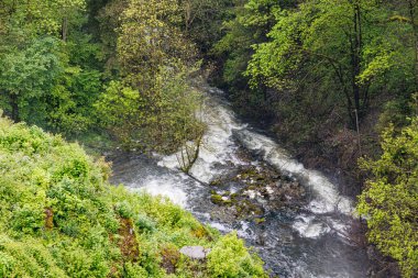 Warche Nehri bol yapraklı ağaçların ve Robertville Barajı 'ndan görülen vahşi yeşil vadi bitkilerinin arasında su kayalar ve taşlar arasında akıyor Waimes, Belçika' da bulutlu bir gün.