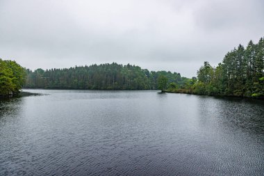 Baraj duvarının yanında Robertville Gölü bulutlarla kaplı gökyüzüne karşı yeşil yapraklı çam ağaçları, bulanık arka plan, Waimes, Belçika 'da bulutlu bir günde sakin su
