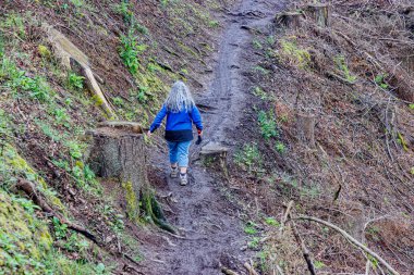 Olgun yürüyüşçü, sırtı kameraya dönük ıslak çamur ve çamurla dolu bir patikada hızla yürüyor Warche vadisinde ormansız bir yamaçta, Waimes, Belçika 'da soğuk bir yaz gününden manzarası var.