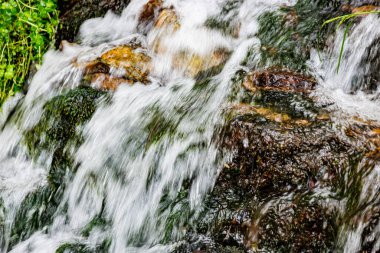 Bir şelalenin yosunlu taşları arasında akan su akıntısının yakın plan bulanık, yaz günü Warche Vadisi, Waimes, Belçika