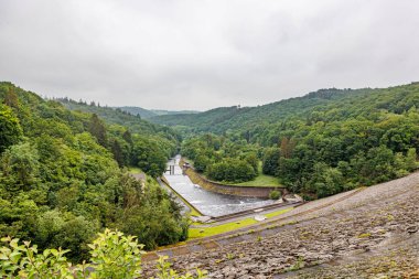 Gileppe Barajı 'nın aktığı yemyeşil çam ağaçlarıyla dolu bir vadi. Nehre akan su, sisli ve bulanık arka planda vahşi bitki örtüsü. Belçika Jalhay' da bulutlu bir gün.