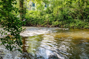 Vahşi bitki örtüsü ve yemyeşil ağaçlar arasında bol suyu olan Eau Noire nehri, hızlı akan sular, su yüzeyindeki güneş ışığının yansıması, Couvin, Wallonia, Belçika 'da güneşli bir yaz günü.