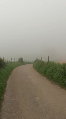 Kıdemli yetişkin kadın kırsal yolda rahatça yürüyor çiftlikler arasında, kameraya dönüş, sis, uzun gri saçlar, günlük kıyafetler, kot pantolon, Güney Limburg, Hollanda 'da sisli bir gün.
