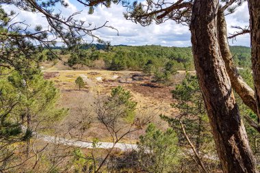 Hollanda 'nın Schoorlse Duinen doğa rezervleri bir tepe, patikalar ve arka planda çam ağaçları görülebilir beyaz bulutlarla kaplı bir gökyüzü karşısında, güneşli bir gün Kuzey Hollanda, Hollanda