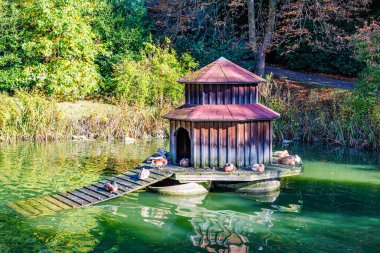 Rampalı ahşap ördek evi, güneşlenen ördekler, arka planda vahşi bitki örtüsü ve ağaçlar, Willy-Dohmen-Park 'ta güneşli bir sonbahar günü, Ubach-Palenberg, Almanya