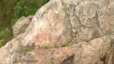 Falize Kayası 'nın doğal manzarası, yeşil yapraklı çam ağaçlarıyla kaplı vadideki dere, bulutlu arka planlı dağların üzerinde ufuk, Belçika Malmedy' de bulutlu bir gün. Fondip yap. Dikey video