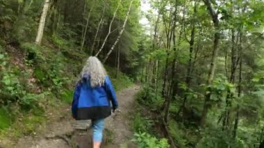Kıdemli bir kadın yürüyüşçünün dar bir patikada tek başına yürüdüğünü gösteren görüntüler, bir tepe boyunca, elinde kamera, bol yeşil bitkilerle Warche vadisi, Waimes, Belçika 'da soğuk bir yaz günü.