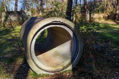 Terk edilmiş eski bir beton borunun büyük bir kısmı orman zemininde, duvarlar ve arka planda çıplak ağaçlar, Herkenbosch, Limburg, Hollanda 'da güneşli bir kış günü