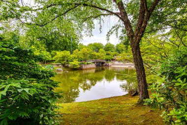 Gri gökyüzüne karşı yemyeşil ağaçlarla çevrili gölet manzarası, arkaplanda ahşap köprü, yüzeyde yansıması olan sakin su, bulutlu bahar gününde Japon bahçesi, Hasselt, Belçika