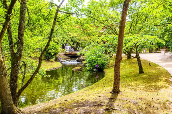Japon halk bahçesinde arka planda kanalı ve şelalesi olan ağaçlarla kaplı manzara, yaya yolları, yüzeye akan su ve yansıma, yemyeşil ağaçlar, Hasselt, Belçika 'da bulutlu bir gün.