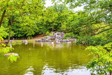 Japon bahçesinde arka planda bir şelale bulunan göl manzarası, bol yapraklı yeşil ağaçlarla çevrili, akan su, su yüzeyindeki yansıma, Hasselt, Belçika 'da bulutlu bir gün.