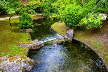 Yeşil çimenlerin arasından akan suyla dolu yemyeşil bitki örtüsü ve arka planda yapraklı yeşil ağaçlar, Belçika 'nın Hasselt kentindeki Japon bahçesinde bulutlu bir bahar gününde,