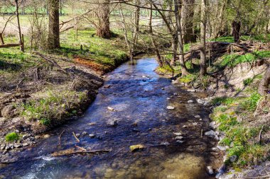 Düşük su seviyelerinin kayalar arasında sessizce aktığı Gulp Nehri, bol miktarda çıplak ağaçla çevrili, su yüzeyindeki yansıma, Gulpen, Güney Limburg 'daki güneşli bahar günü,