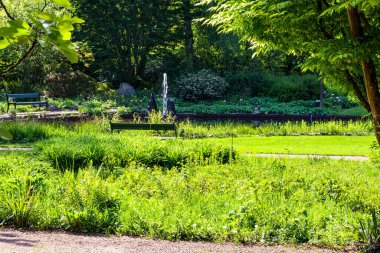Bir göleti çevreleyen yeşil çimlerle botanik bahçesi, arka planda gür bitki örtüsü ve yapraklı ağaçlar, yaya yollarının yanındaki banklar, Hollanda 'nın Kerkrade şehrinde güneşli bir gün.