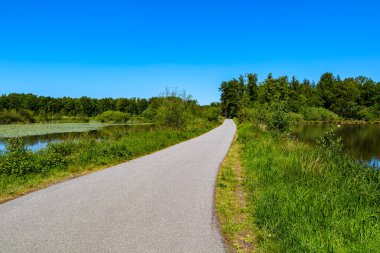 De Wijers 'daki iki gölet arasındaki bisiklet yolu veya yaya yolu, mavi gökyüzüne karşı yapraklı ağaçlar, arka planda kaybolmak, derinlik perspektifi, Limburg, Belçika' nın Limburg eyaleti olarak bilinen 1001 göletin toprakları,