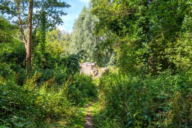 Trail through lush wild green vegetation leading to ruined stone walls of former Eyckholt Castle, leafy trees in background, sunny spring day in Heerlen, South Limburg, Netherlands