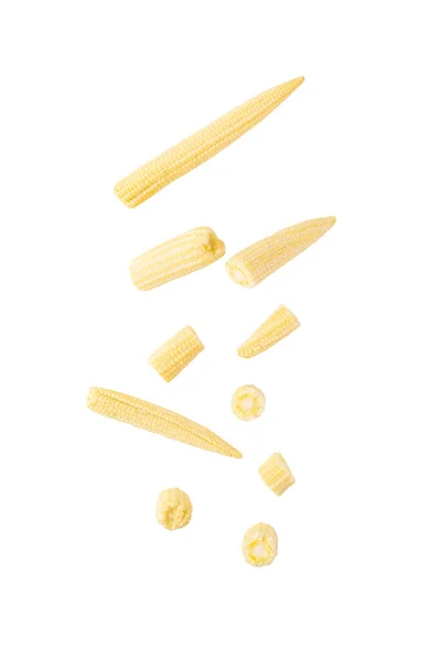 Falling Baby Corn Isolated White Background Clipping Path — Stock Photo, Image