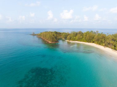 Turkuaz deniz suyu ve Tayland Körfezi 'nin palmiye ağaçları ile güzel kumsal manzarası. Kood Adası, Tayland.