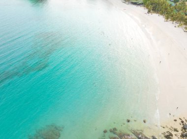 Turkuaz deniz suyu ve Tayland Körfezi 'nin palmiye ağaçları ile güzel kumsal manzarası. Kood Adası, Tayland.