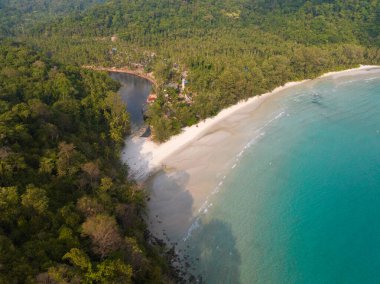 Turkuaz deniz suyu ve Tayland Körfezi 'nin palmiye ağaçları ile güzel kumsal manzarası. Kood Adası, Tayland.
