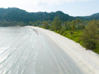 Turkuaz deniz suyu ve Tayland Körfezi 'nin palmiye ağaçları ile güzel kumsal manzarası. Kood Adası, Tayland.