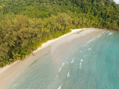 Turkuaz deniz suyu ve Tayland Körfezi 'nin palmiye ağaçları ile güzel kumsal manzarası. Kood Adası, Tayland.