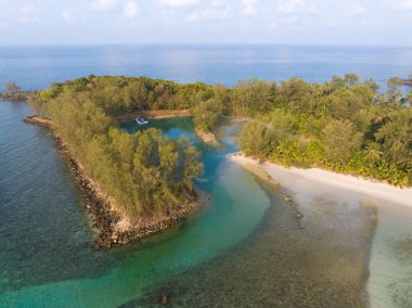 Turkuaz deniz suyu ve Tayland Körfezi 'nin palmiye ağaçları ile güzel kumsal manzarası. Kood Adası, Tayland.