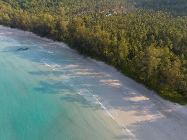 Turkuaz deniz suyu ve Tayland Körfezi 'nin palmiye ağaçları ile güzel kumsal manzarası. Kood Adası, Tayland.