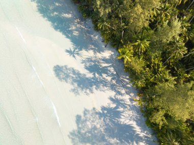 Turkuaz deniz suyu ve Tayland Körfezi 'nin palmiye ağaçları ile güzel kumsal manzarası. Kood Adası, Tayland.