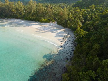 Turkuaz deniz suyu ve Tayland Körfezi 'nin palmiye ağaçları ile güzel kumsal manzarası. Kood Adası, Tayland.