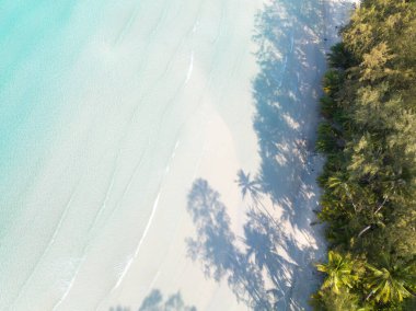 Turkuaz deniz suyu ve Tayland Körfezi 'nin palmiye ağaçları ile güzel kumsal manzarası. Kood Adası, Tayland.